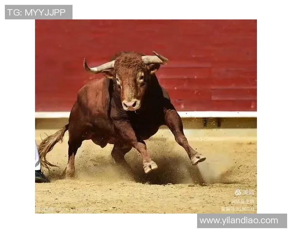 公牛精神与力量的象征:探索公牛在各文化中的深刻意义与影响