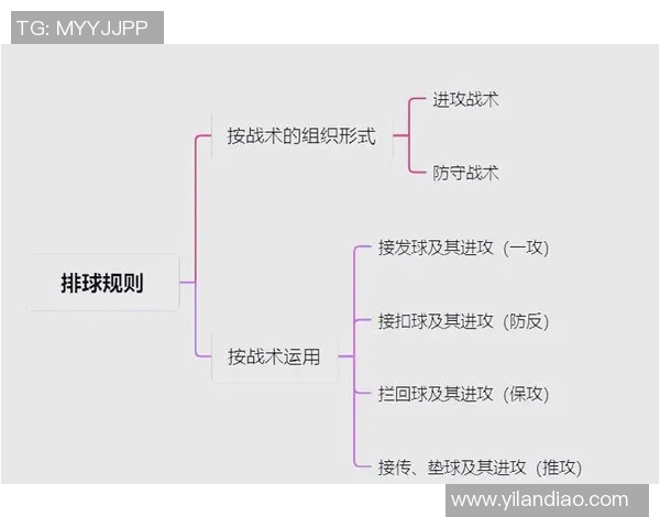 排球之美：深入重庆排球队灵活性训练与战术解析