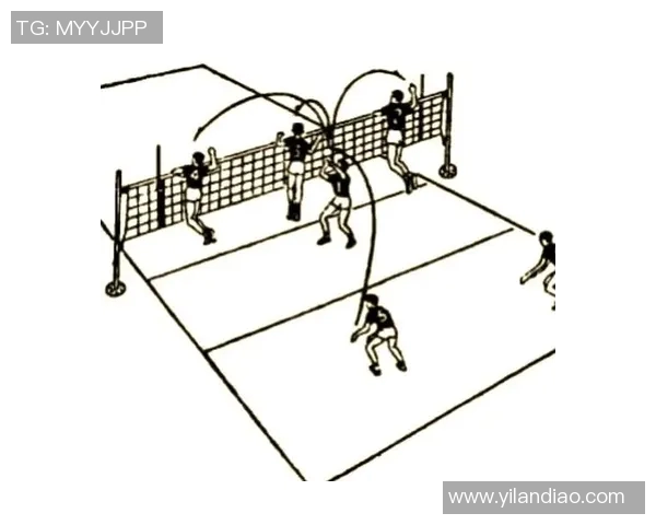 深入分析北京排球队区域防守策略及其在比赛中的应用与效果