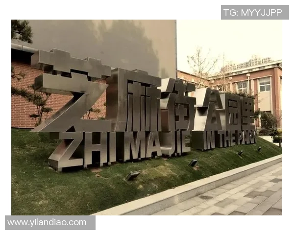 深圳足球队的华丽转身：全国锦标赛背后的奋斗与蜕变之路