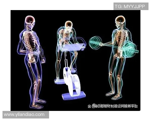 运动康复新视角:科学方法与个性化治疗方案的创新融合 运动康复新视角:科学方法与个性化治疗方案的创新融合